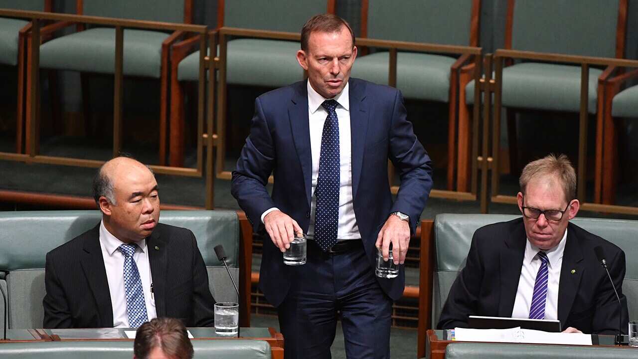 Former prime minister Tony Abbott 