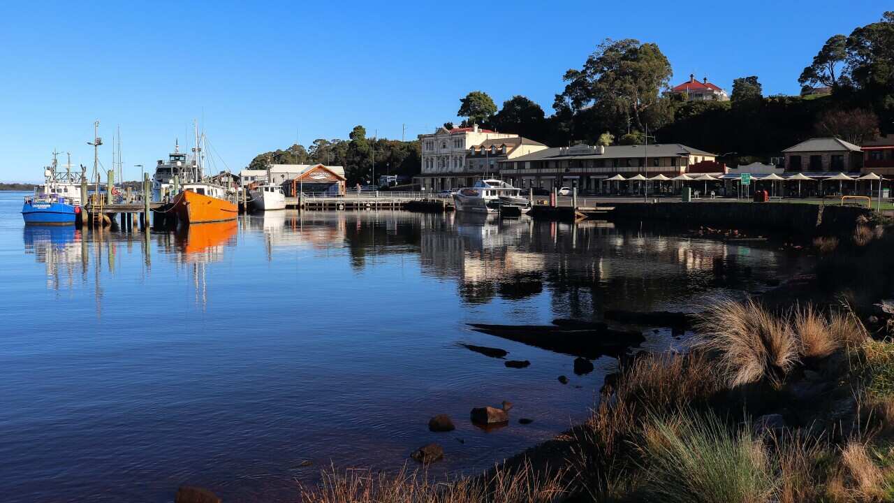 TASMANIA WEST COAST STOCK