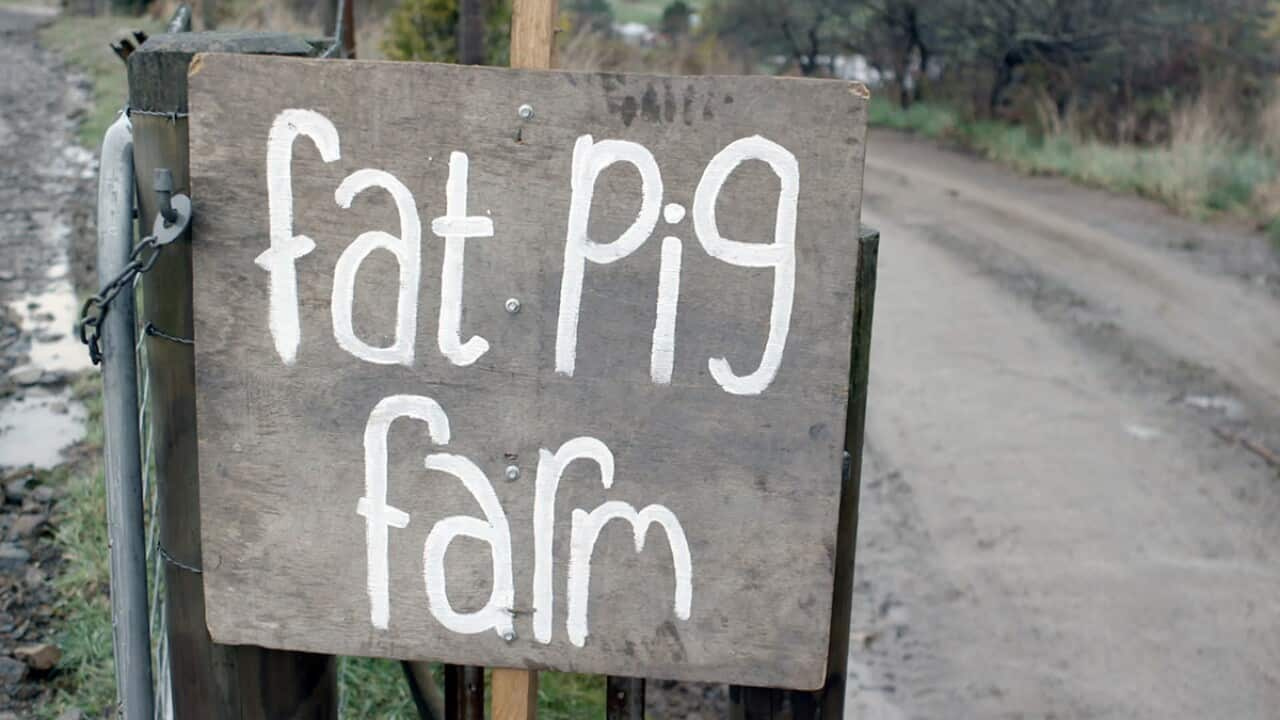 Gourmet Farmer series 4 - Fat Pig Farm