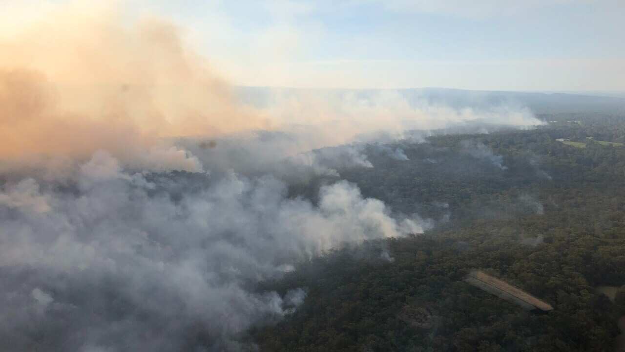 A woody hillside with large plumes of smoke arising.