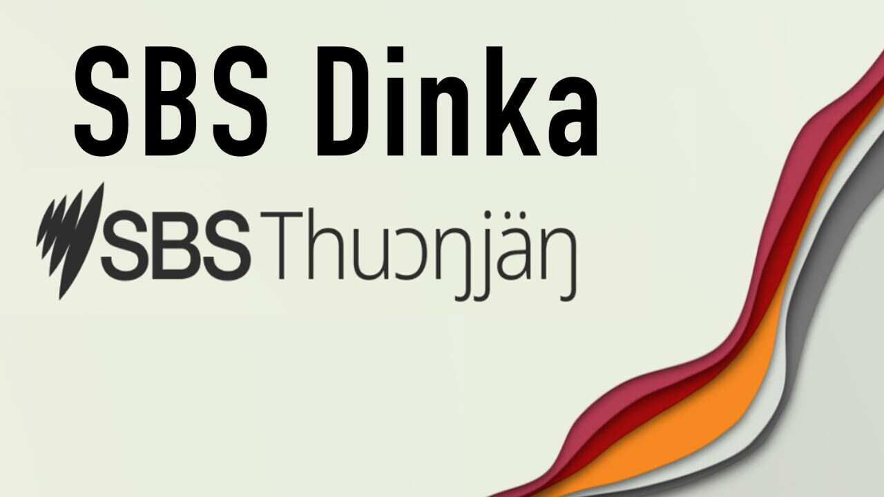 SBS Dinka 