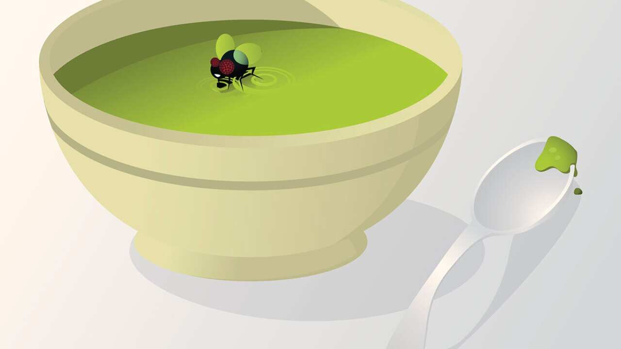 Bug in soup