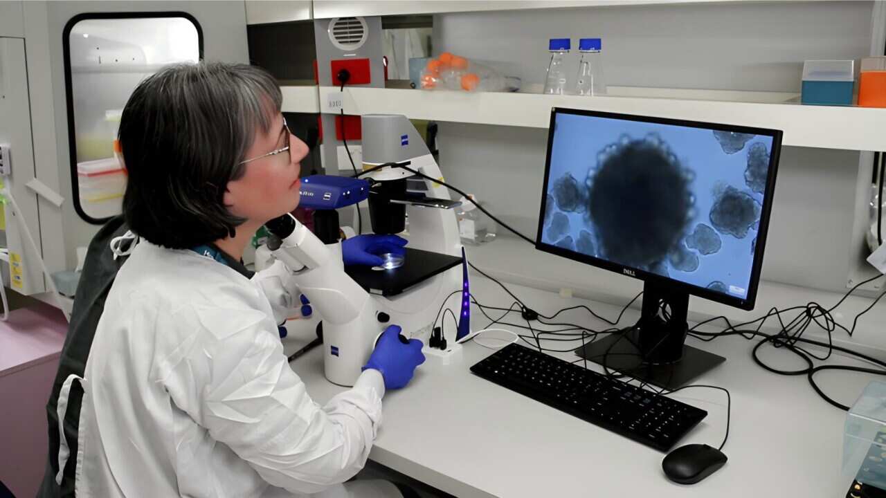 Carrying out stem cell research in the lab (SBS) (002).jpg