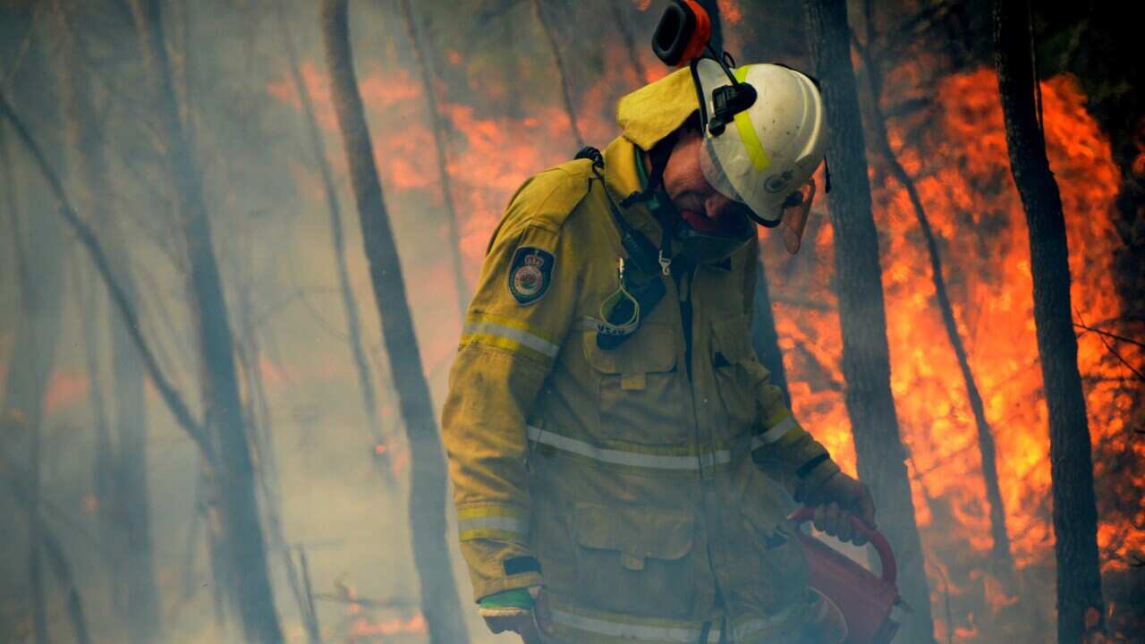 NSW Rural Fire fighter in Mangrove Mountain, December 8, 2019.