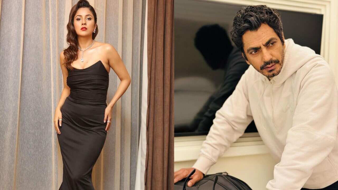 Shehnaaz Gill.jpg