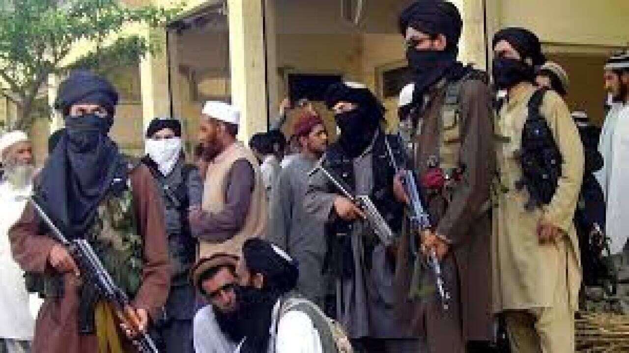 طالبان پاكستانى.jpeg