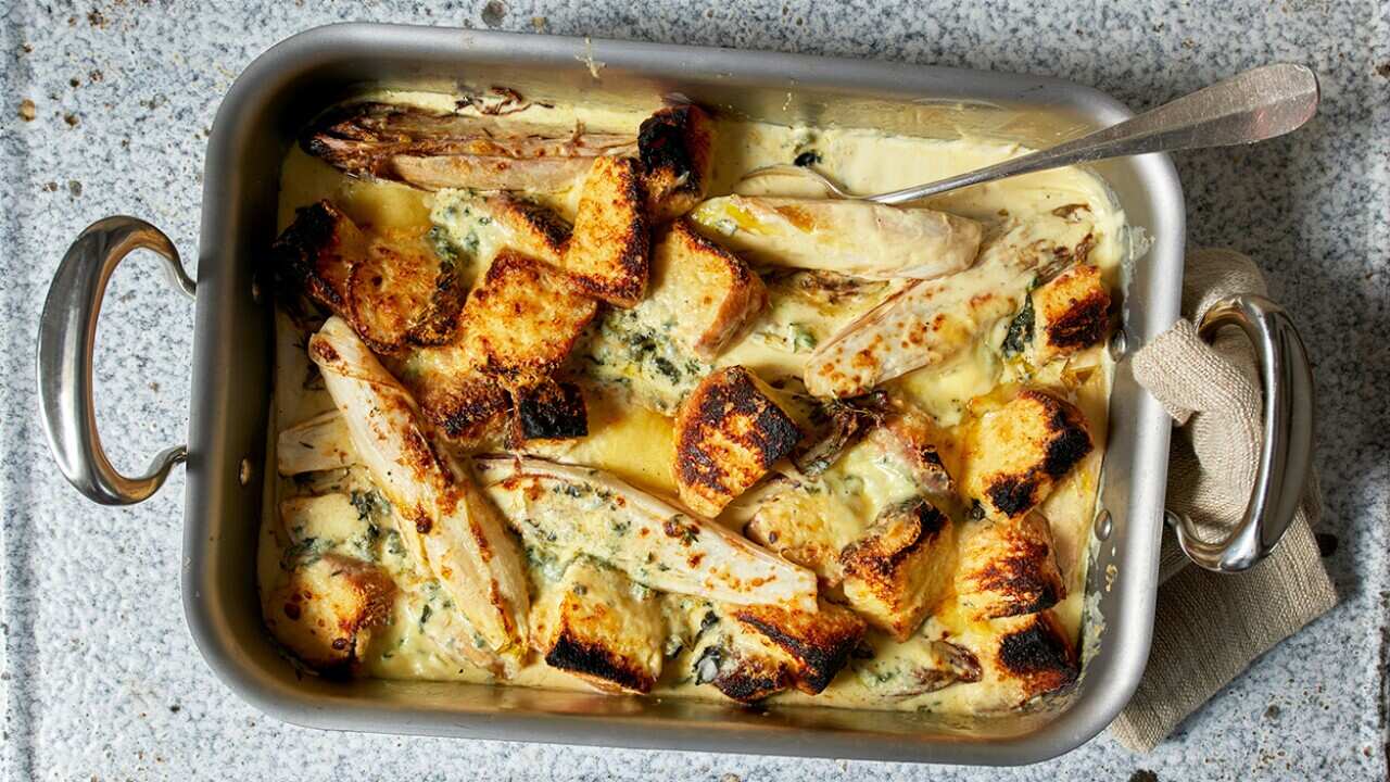 Baked endive with brioche and two-cheese sauce