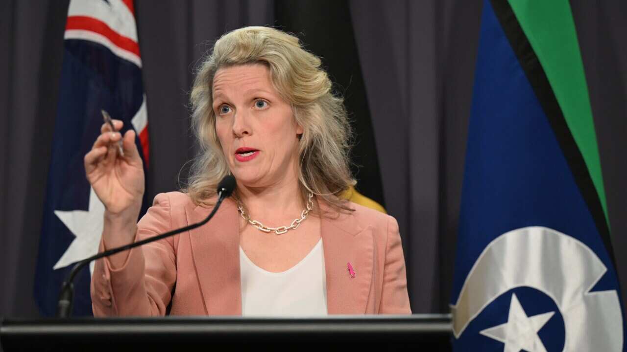 A woman speaks at a press conference.