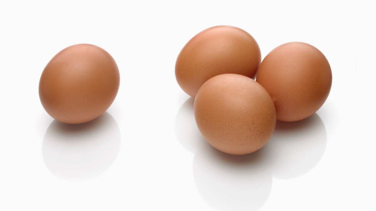 eggs.jpg