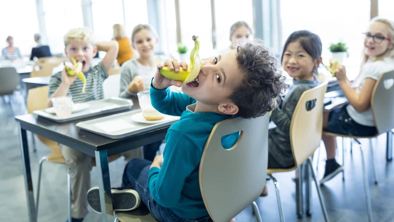 Kids are having a lunch