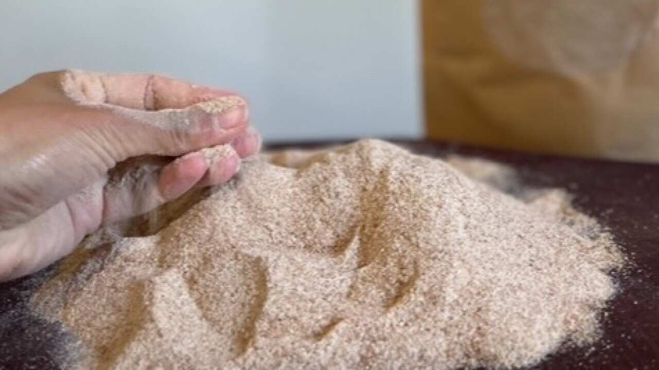 Indigenous Australian native flour