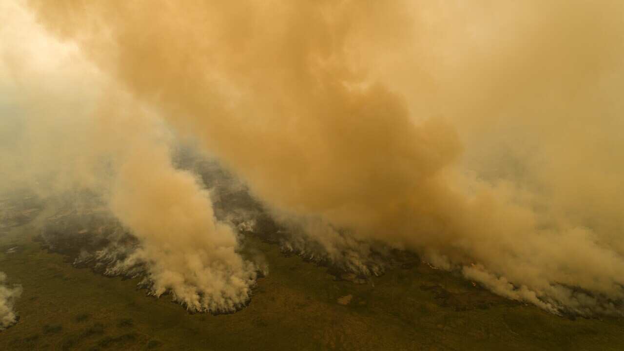 Fire consumes an area next to the Trans-Pantanal highway in the Pantanal wetlands near Pocone, Mato Grosso state, Brazil, Friday, Sept. 11, 2020