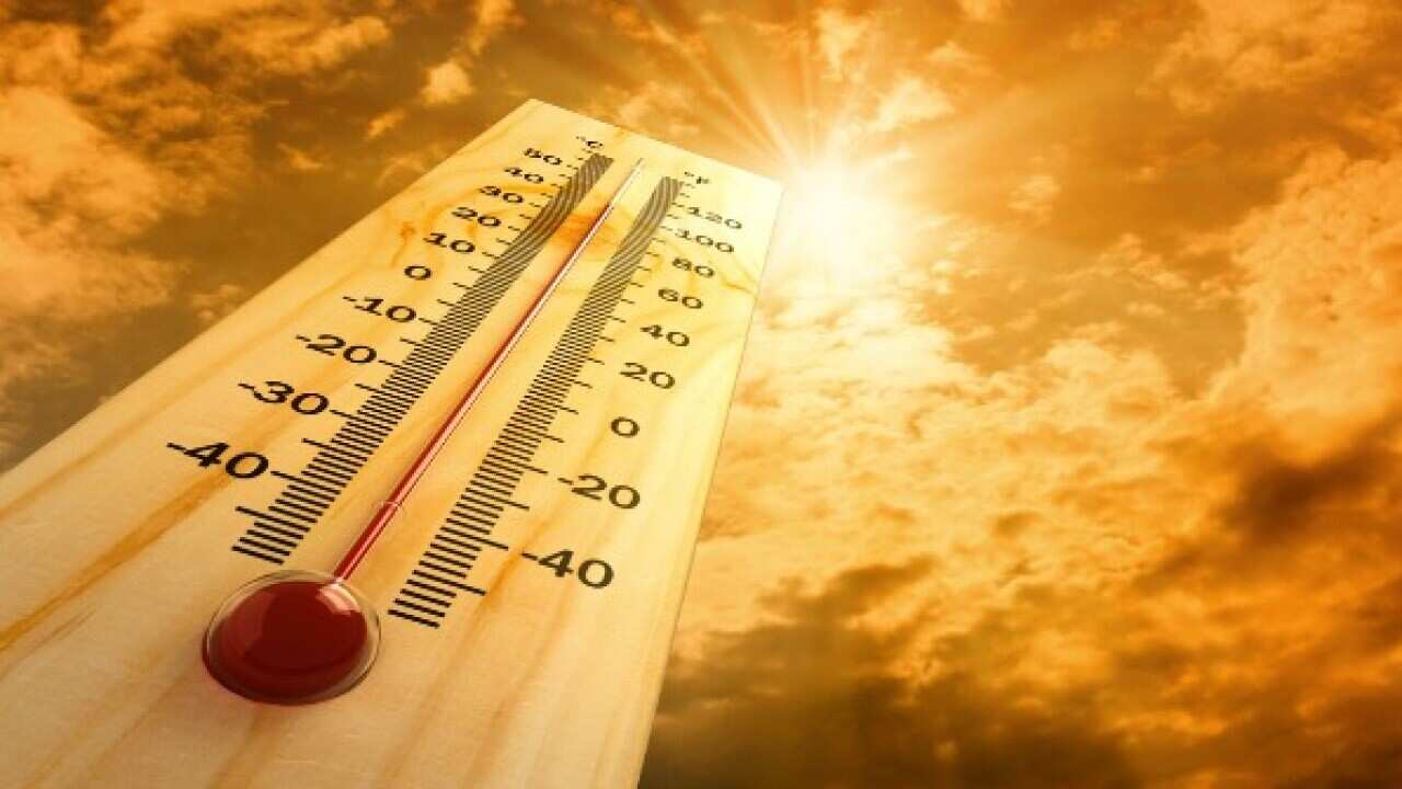 Heatwave Australia, Melbourne, Sydney