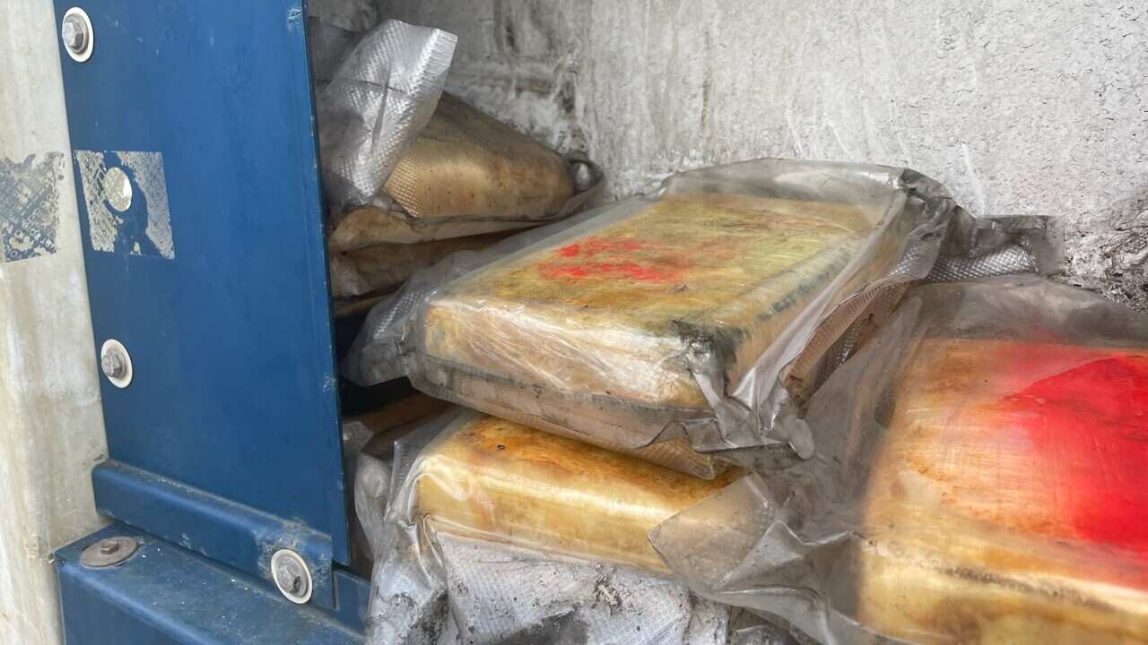 Cocaine detected by the joint investigation