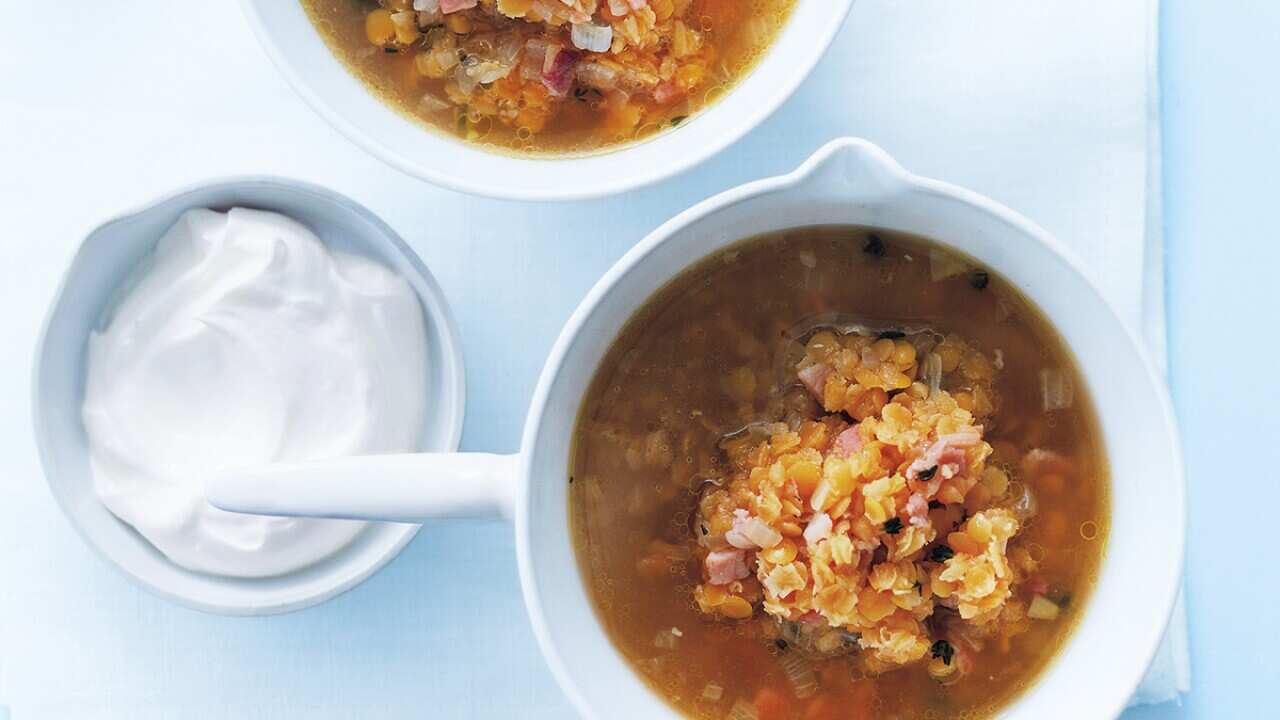 Bacon and lentil soup