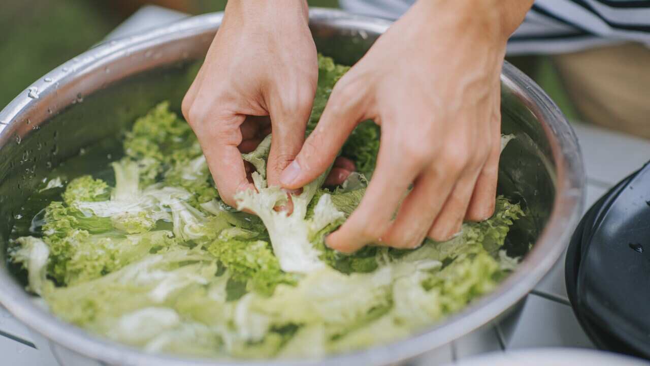 hands of asian chinese sibling teenagers cleaning and cutting vegetables preparing food cooking at camping tent for family