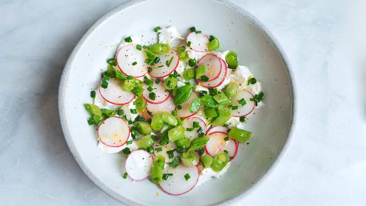 Radish, snap pea and burrata salad