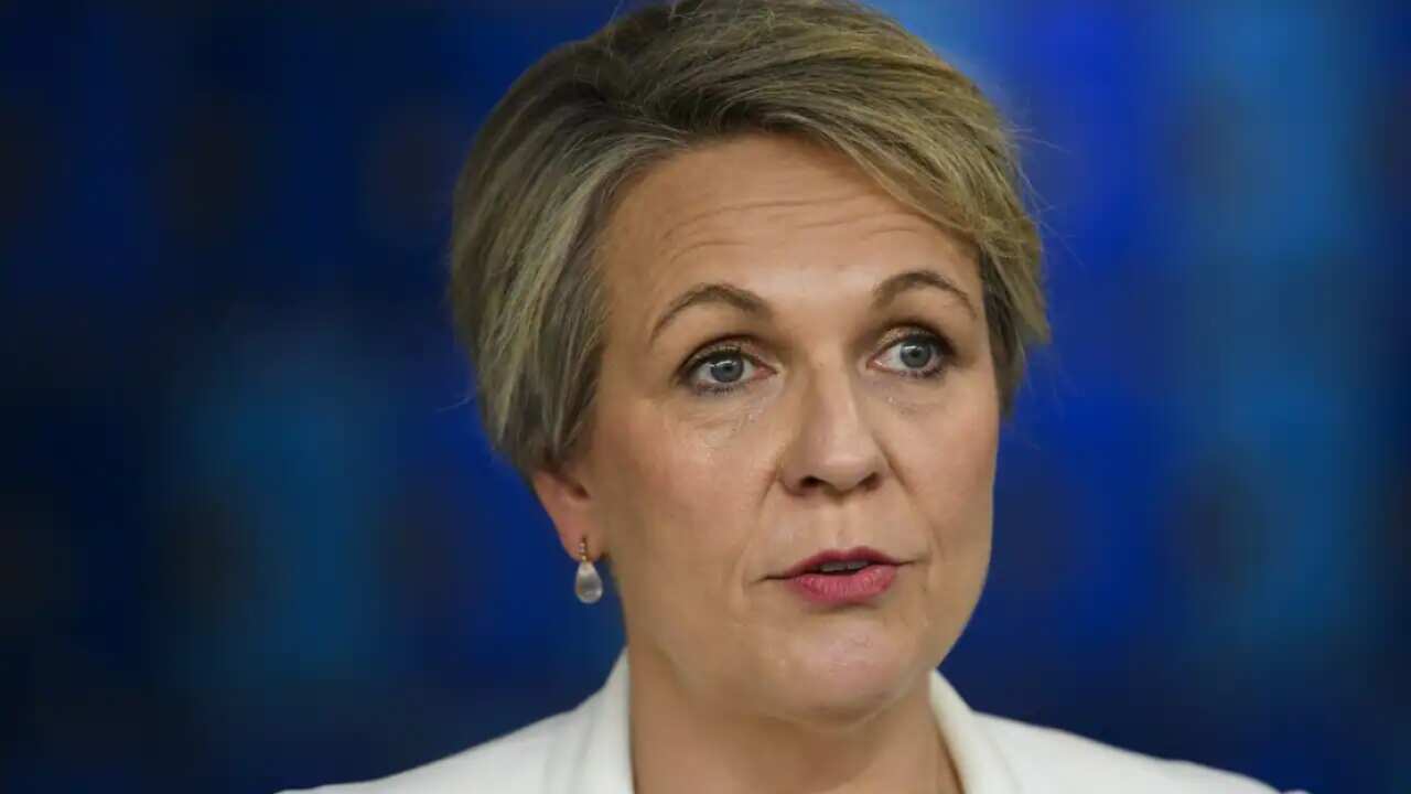 Labor's education spokeswoman Tanya Plibersek speaks to the media at St Mary’s Cathedral school on Monday, 9 May, 2022.