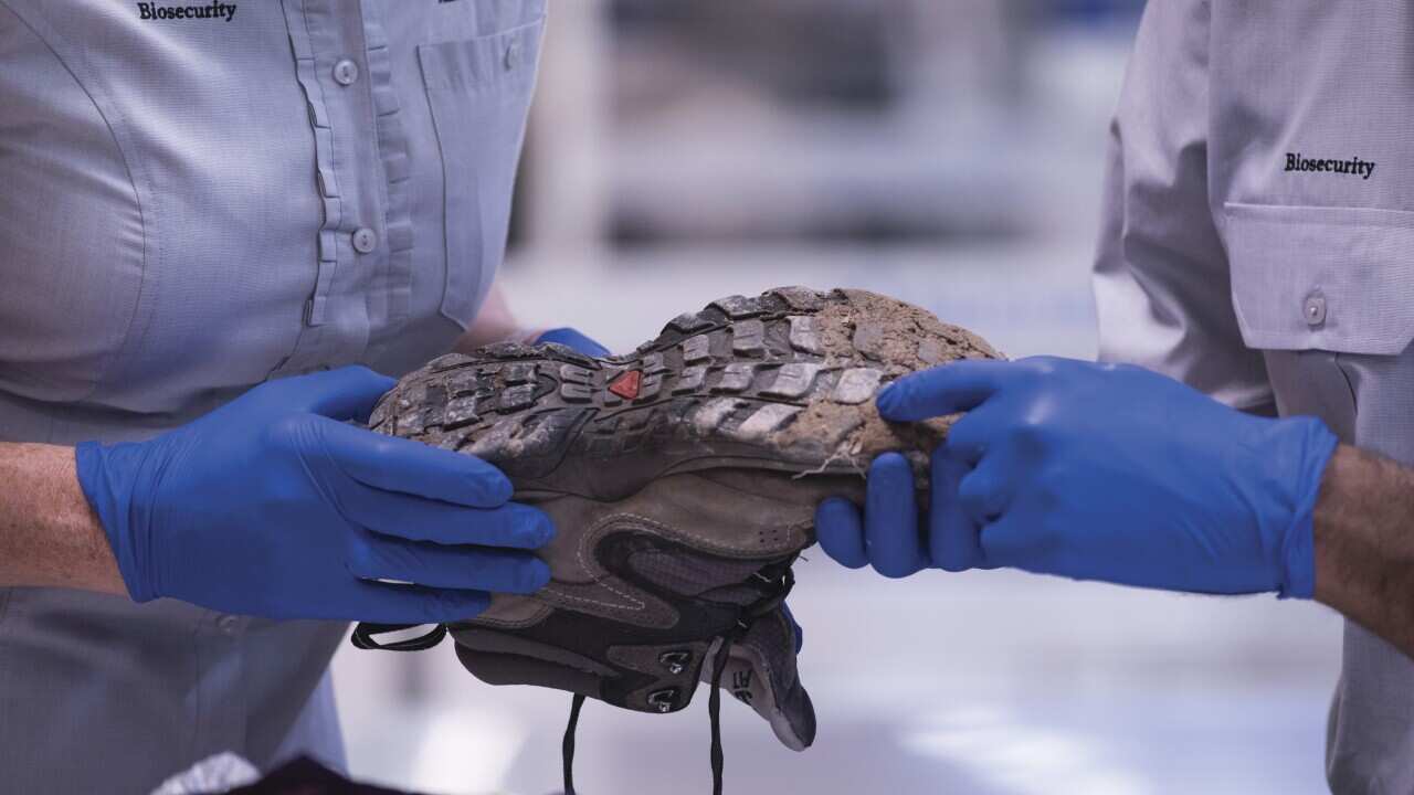 Melbourne airport biosecurity compliance 