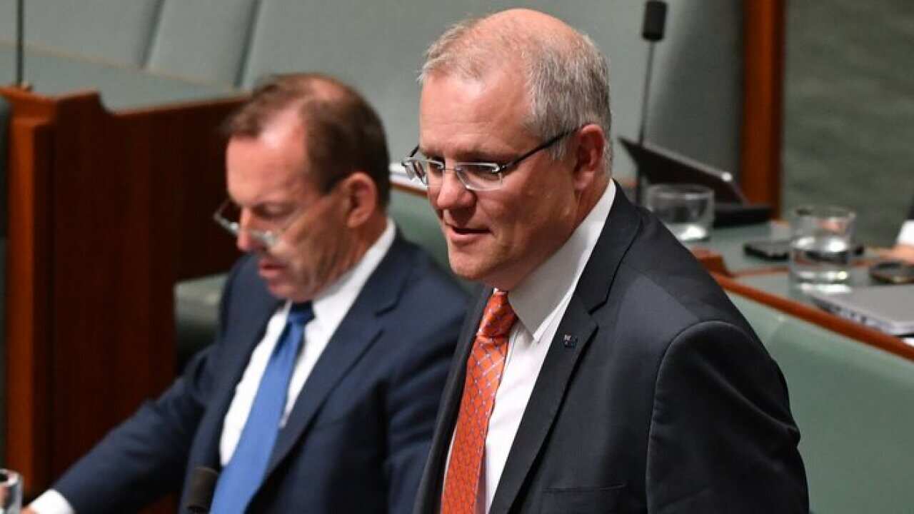 Thủ tướng Scott Morrison và dân biểu hàng ghế sau Tony Abbott