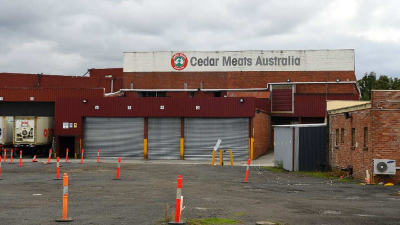 Melbourne meatworks coronavirus cluster grows as 11 more people test positive