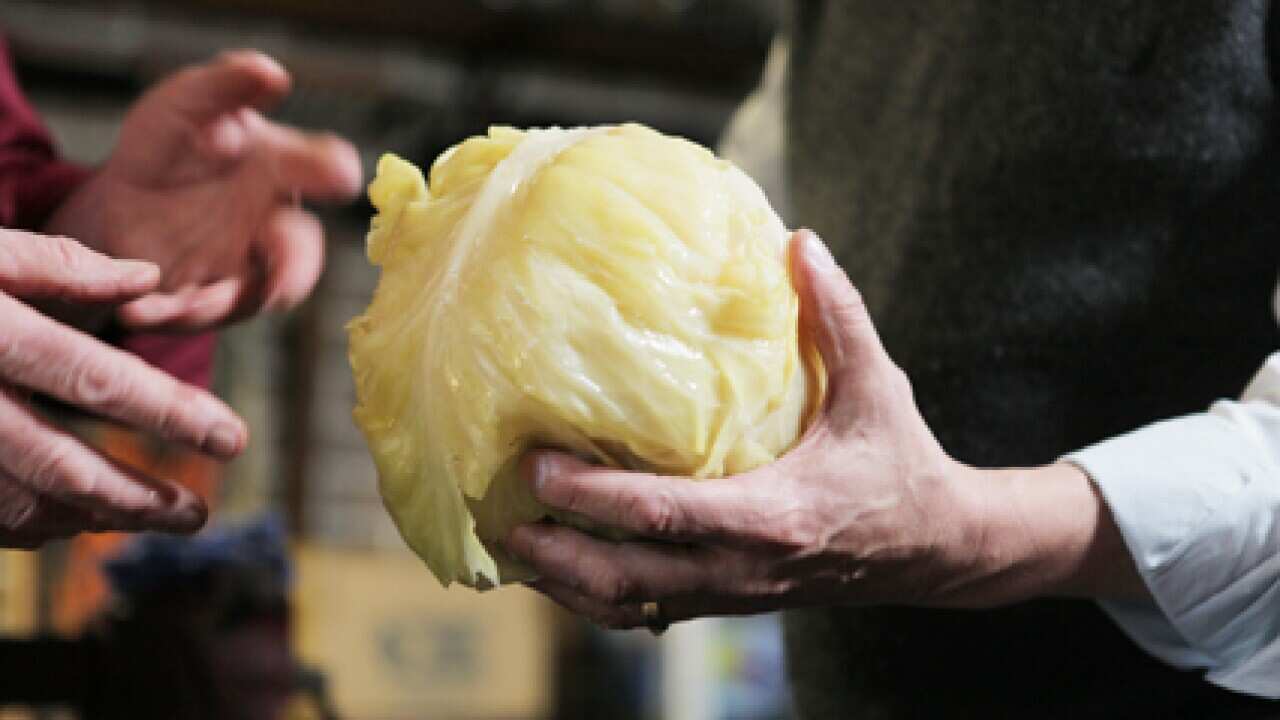 Sour-Cabbage.jpg