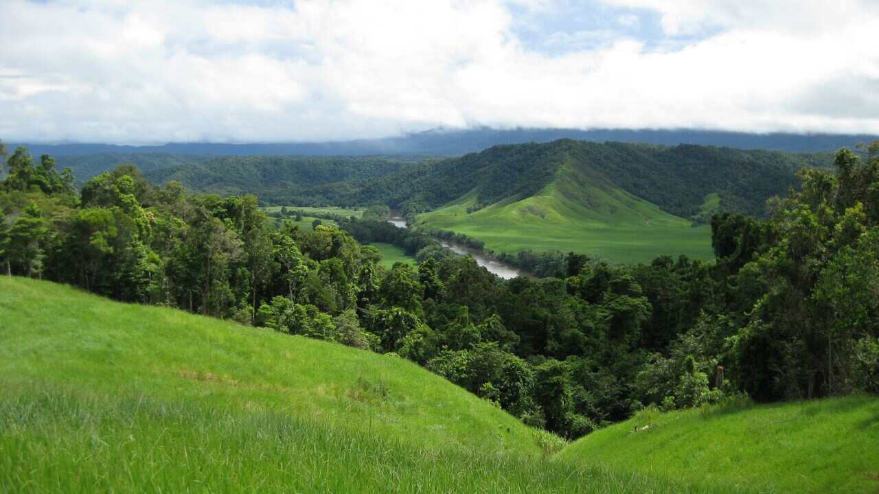 Views of the Daintree River and across the Daintree Rainforest from the property belonging to Peter and Sally Maher, operators of Daintree Argo 8x8 Rainforest Tours, Saturday, Feb. 20, 2010. (AAP Image/Michelle Draper) NO ARCHIVING