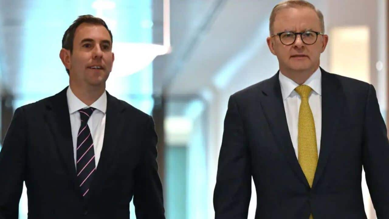 Treasurer Jim Chalmers and Prime Minister Anthony Albanese. 