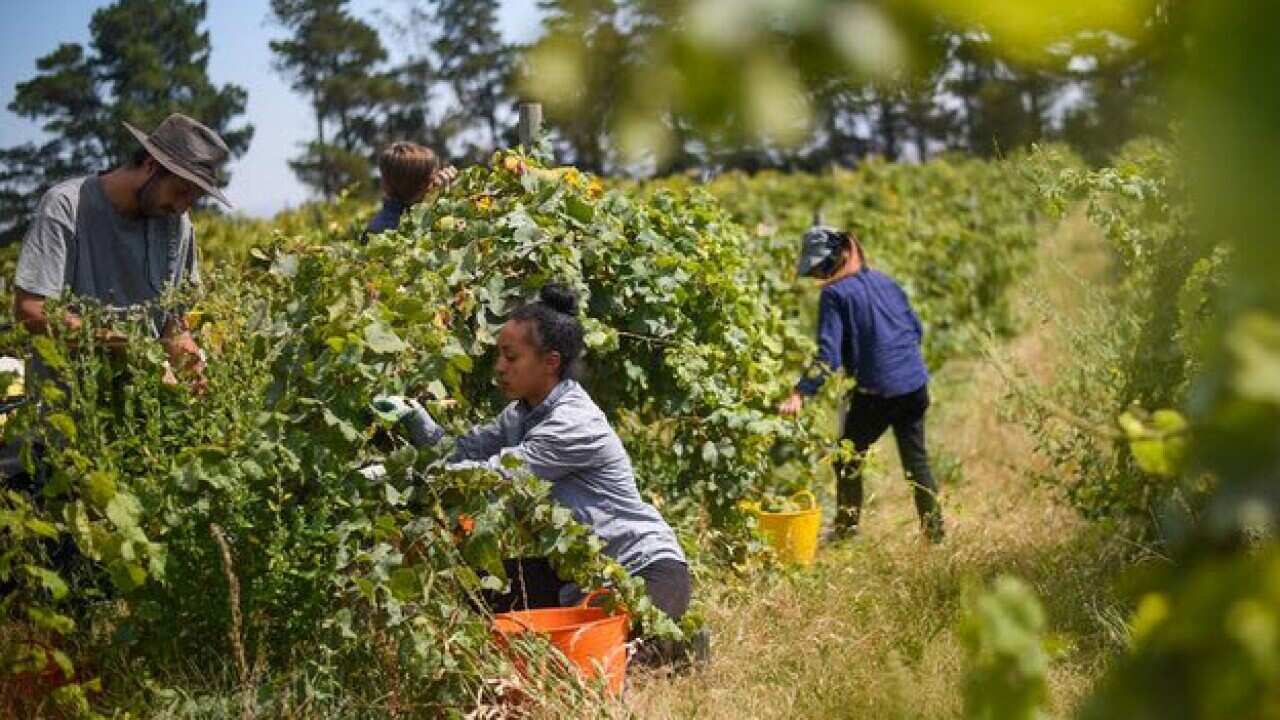 Farm workers