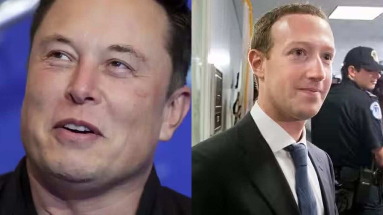 伊隆·马斯克（Elon Musk）和马克·扎克伯格（Mark Zuckerberg）