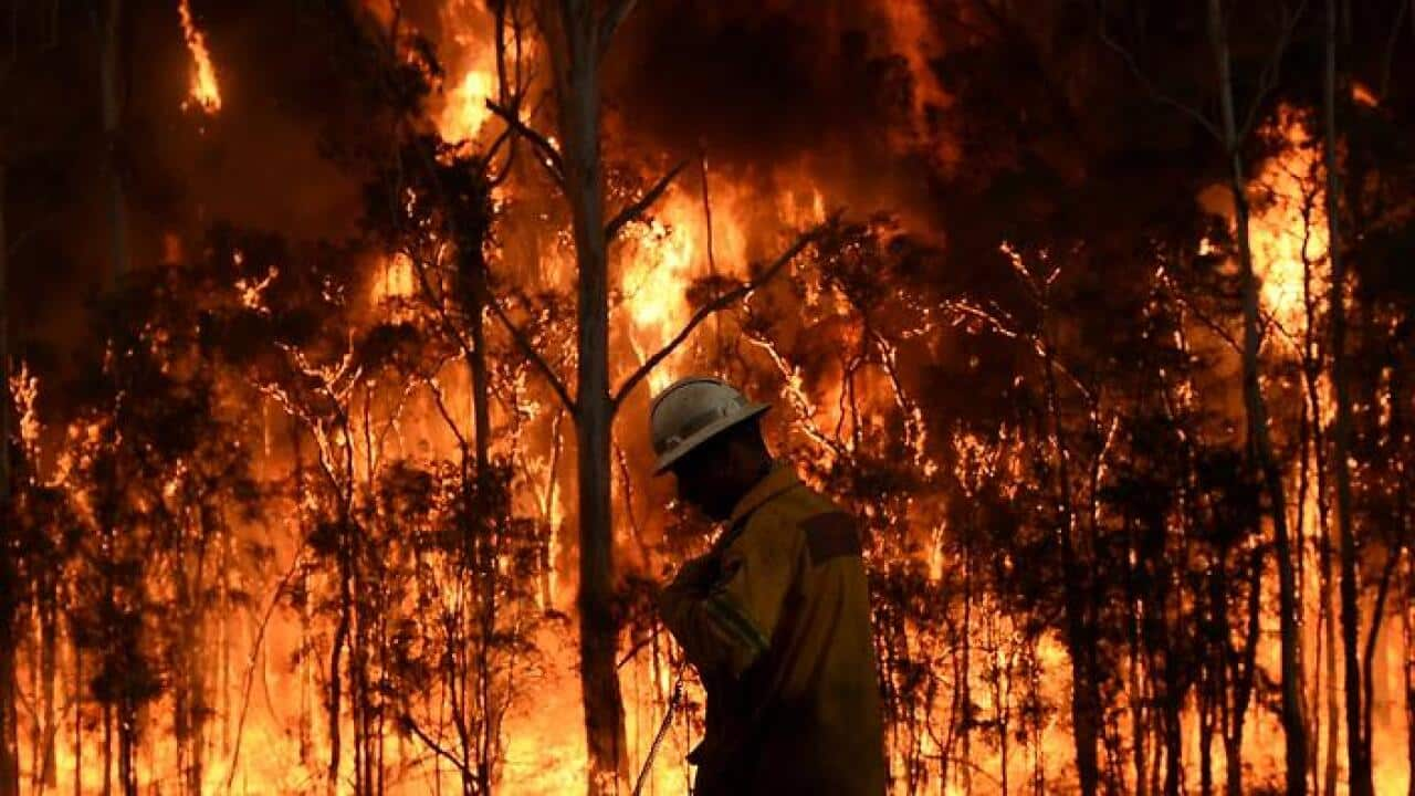 NSW Rural Fire Service firefighters fight a fire on Monday.