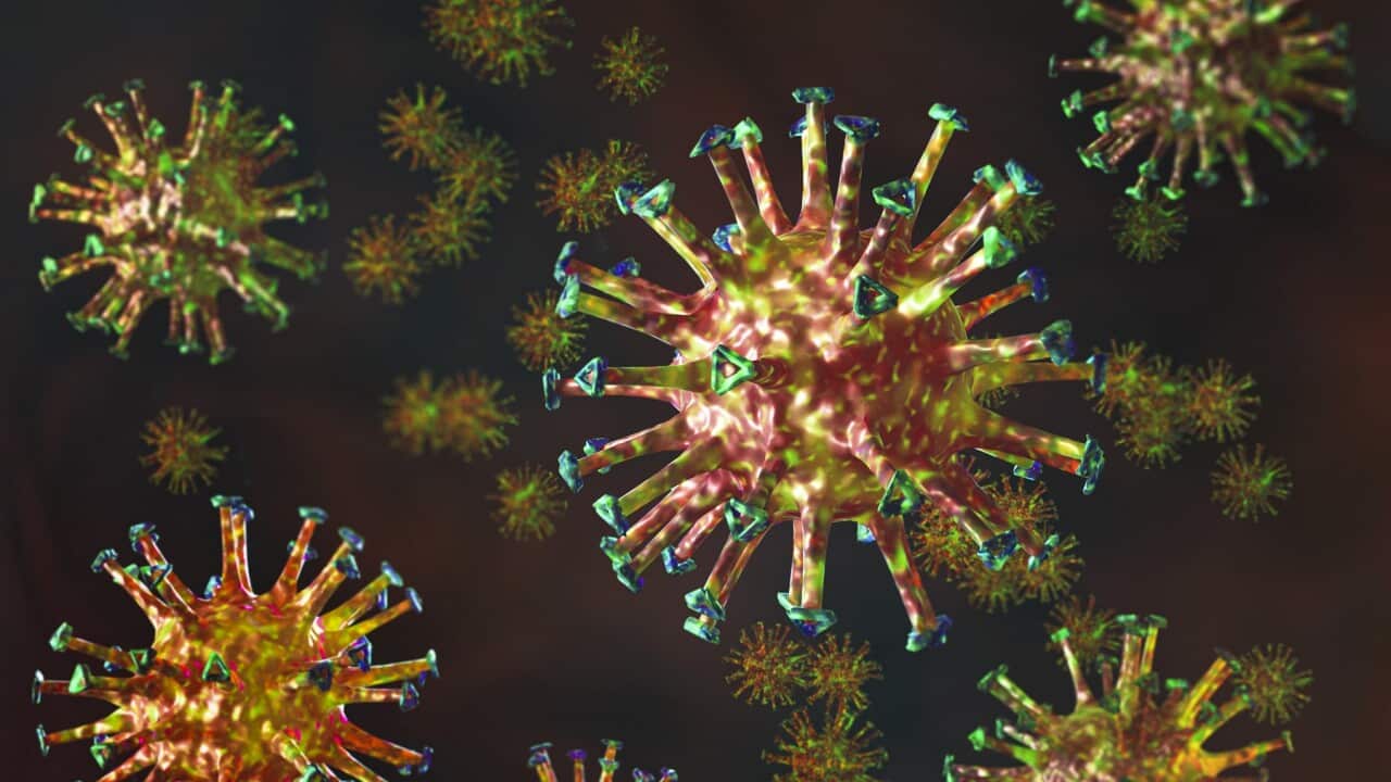 corona virus 1