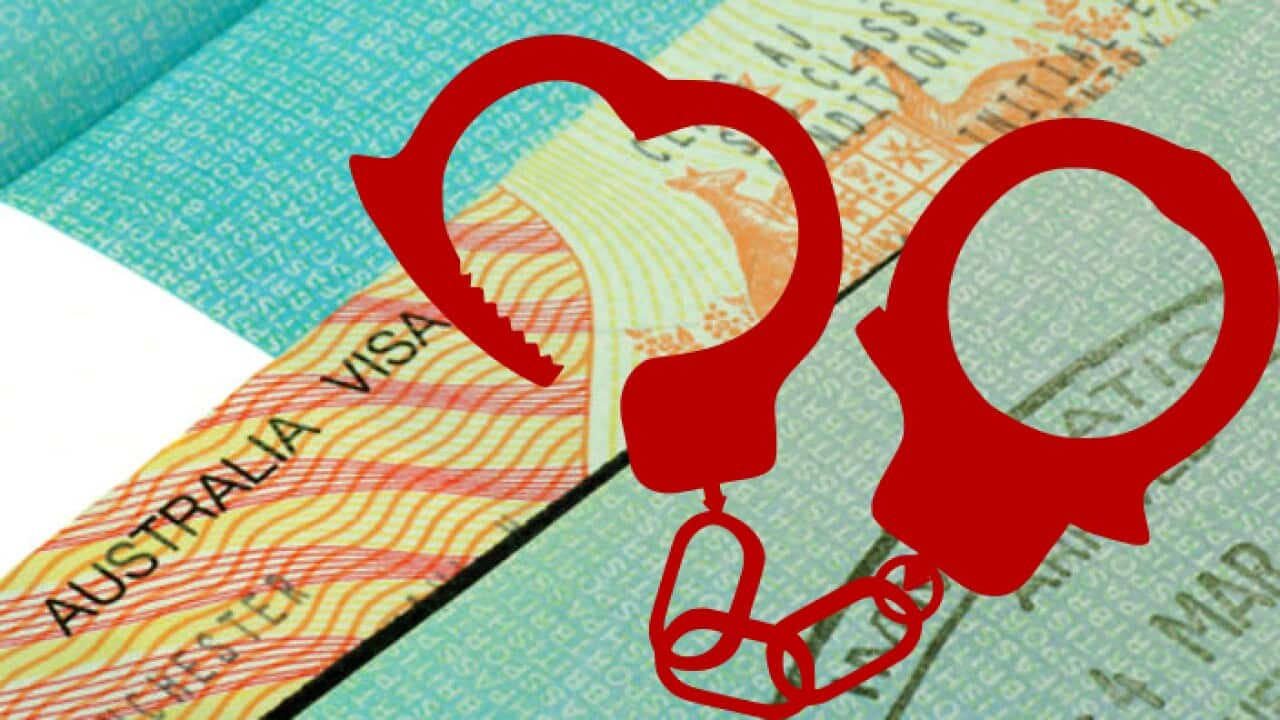 More than 500 visa scams a year are being reported in Australia