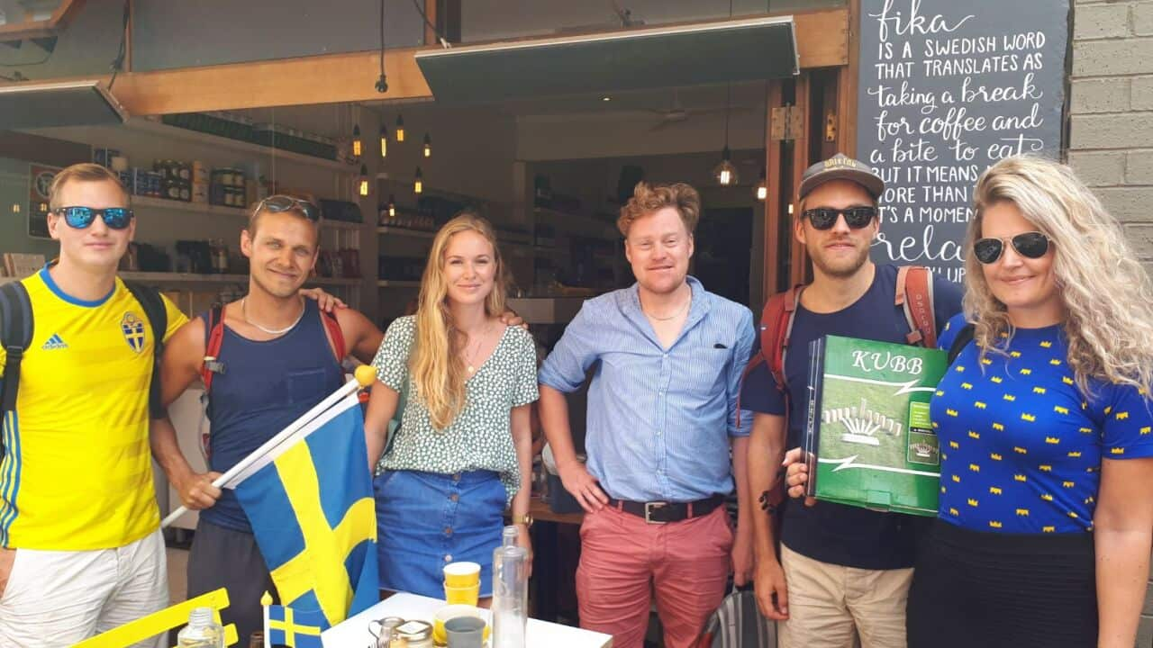 Sweden World Cup fans