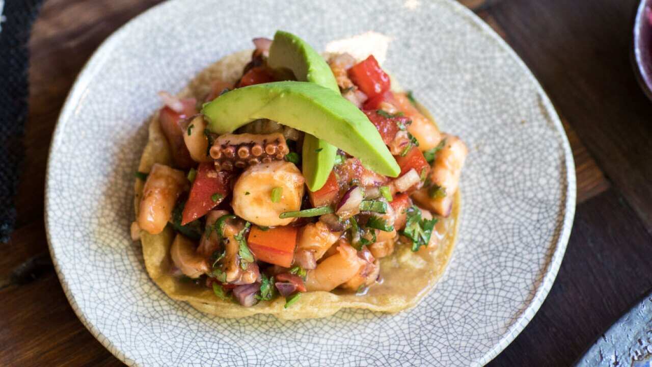 Seafood is king at Chulo, where market fish, baby squid, prawn, octopus and clam are piled onto tostadas.