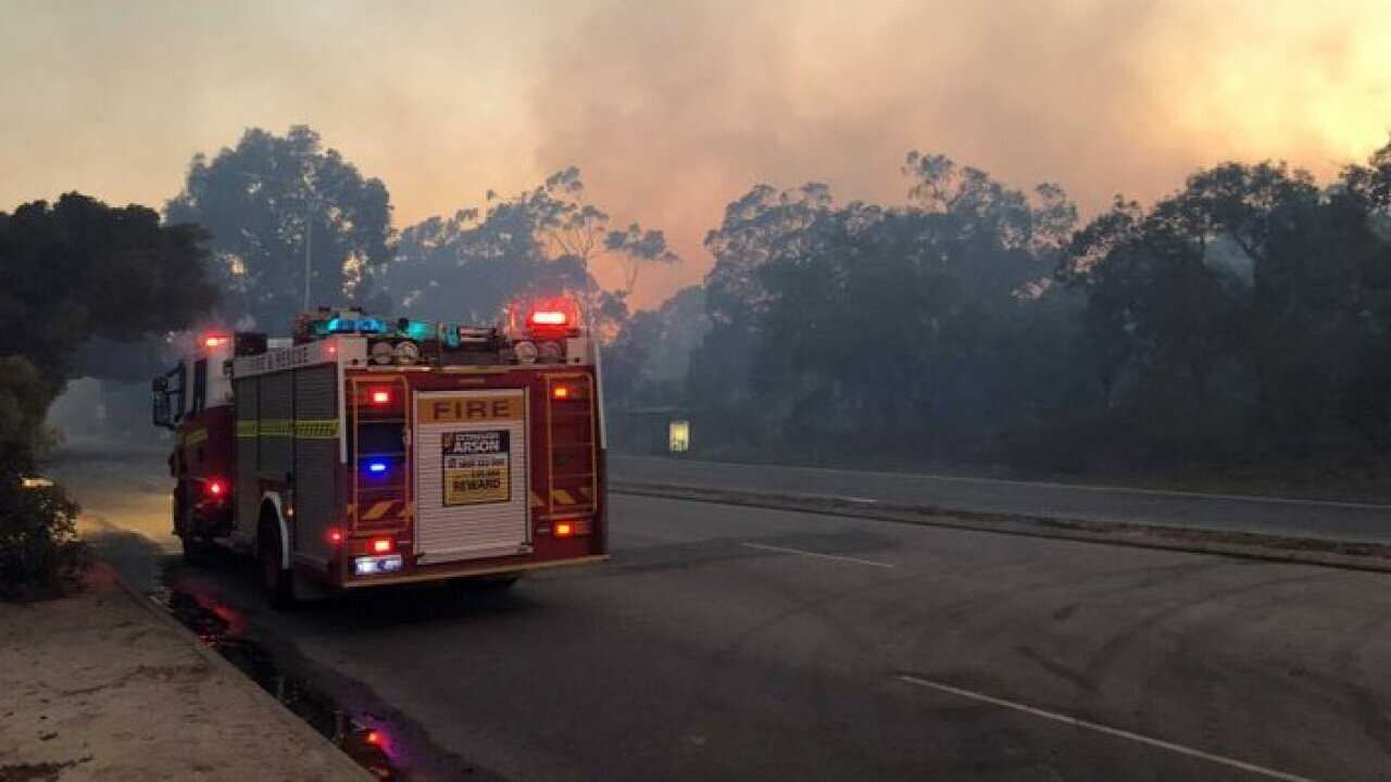 Bushfire in Kings Park, Western Australia