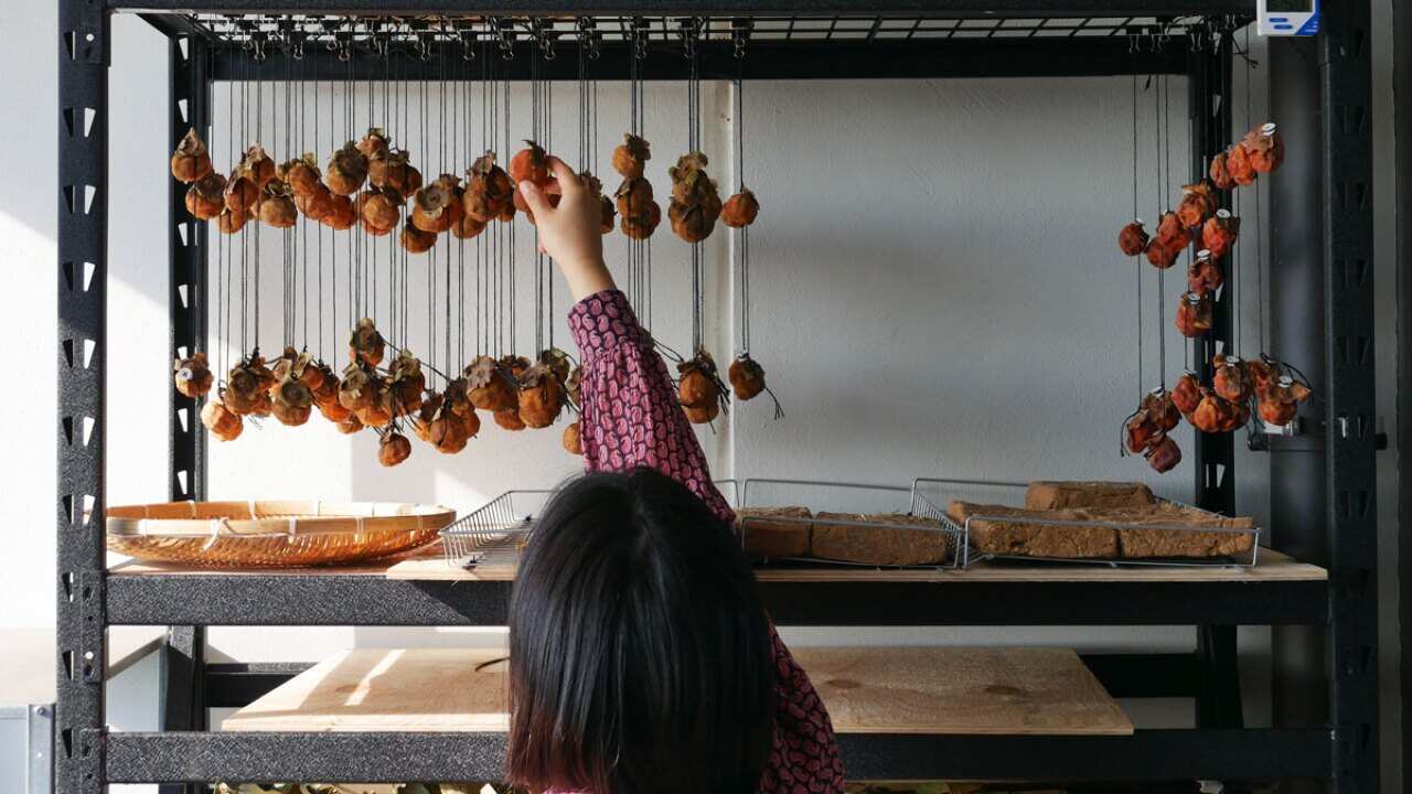 Jung Eun Chae ferments and prepares ingredients for her Chae restaurant from her tiny flat.