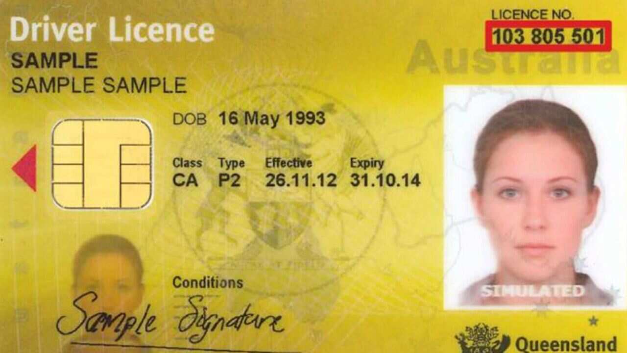 A sample Queensland driver’s licence which doesn’t show gender or height.