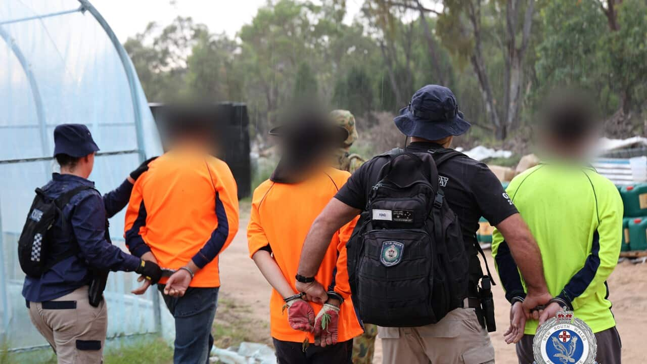 Six people have been charged after detectives seized a national record of cannabis at a rural property in the state’s west.