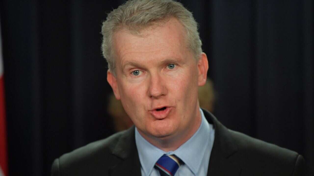 File: Federal Water Minister Tony Burke 