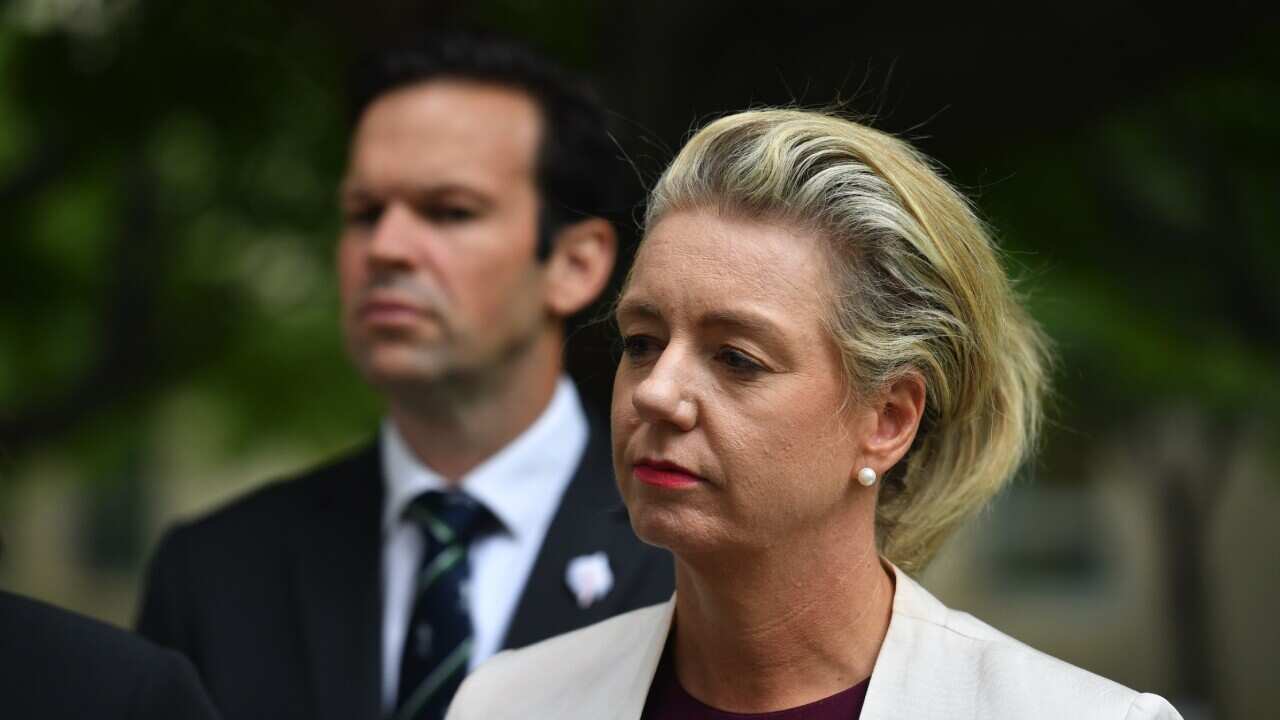 Cabinet minister Bridget McKenzie says she has not seen the documents on what position the Australian delegation will be taking to COP26.