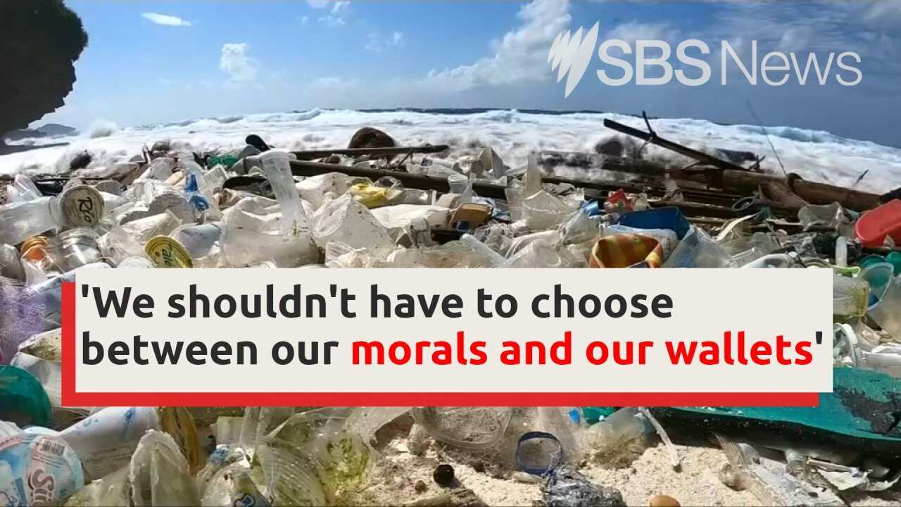 Meet the team hoping to beat the Matildas in their next match I SBS