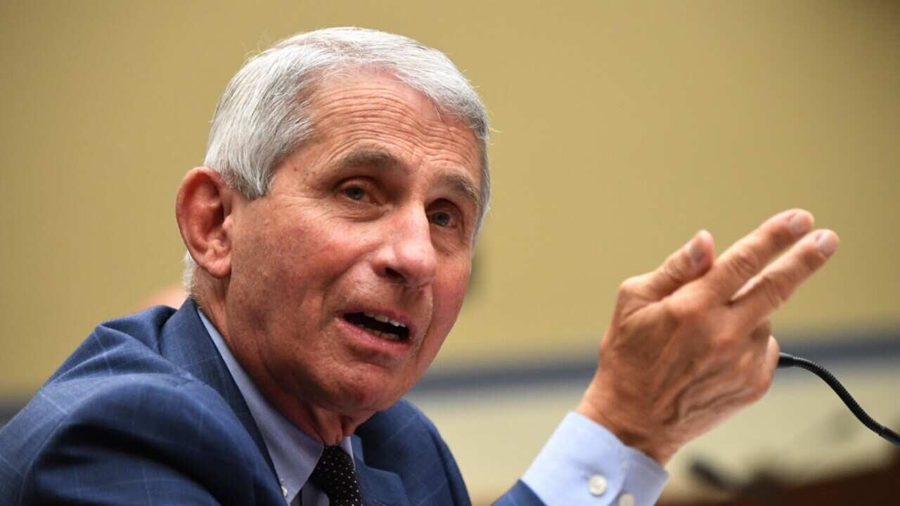 Dr Anthony Fauci, director of the National Institute for Allergy and Infectious Diseases, testifies before a House Subcommittee.