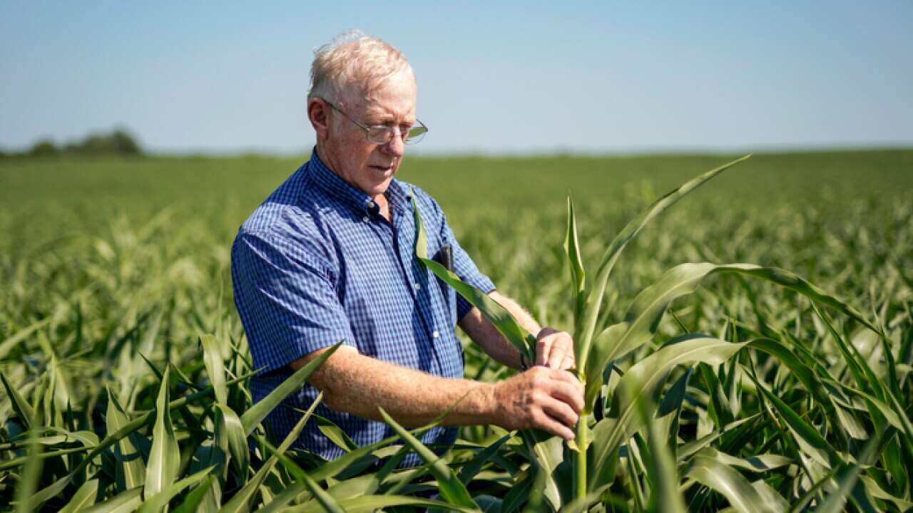 US Farmer