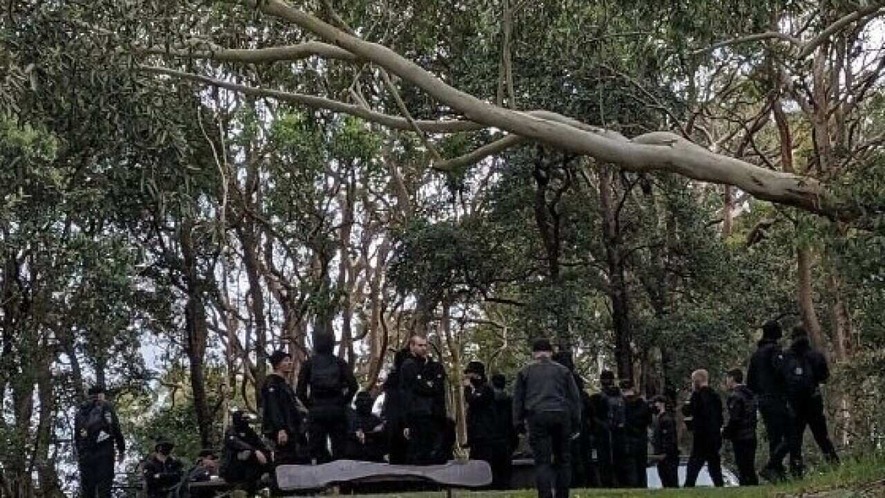 A group of people clad in black mill about in a woodland area