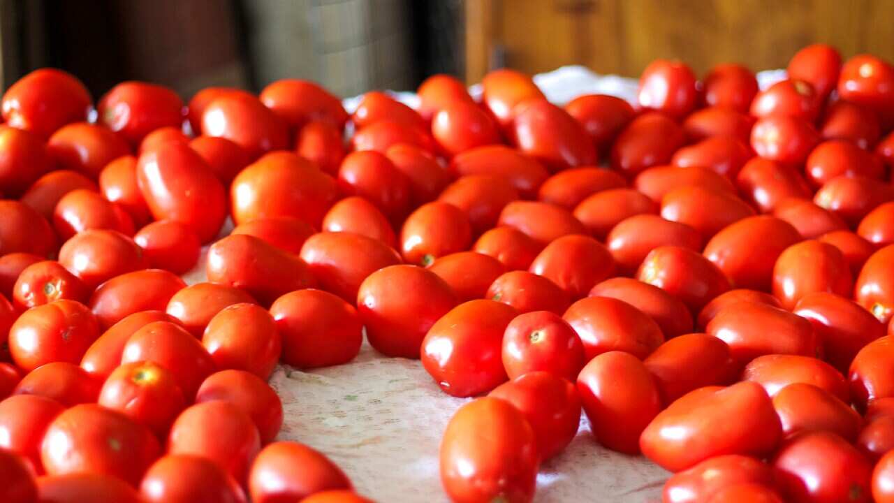 Passata Day has a language all of its own