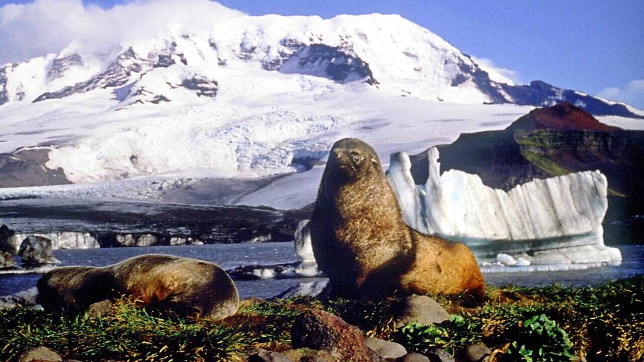 HEARD ISLAND