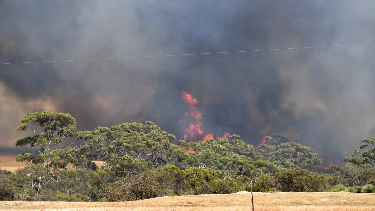 A global report cites Australia's 2020 bushfires as an example of a climate change security risk.