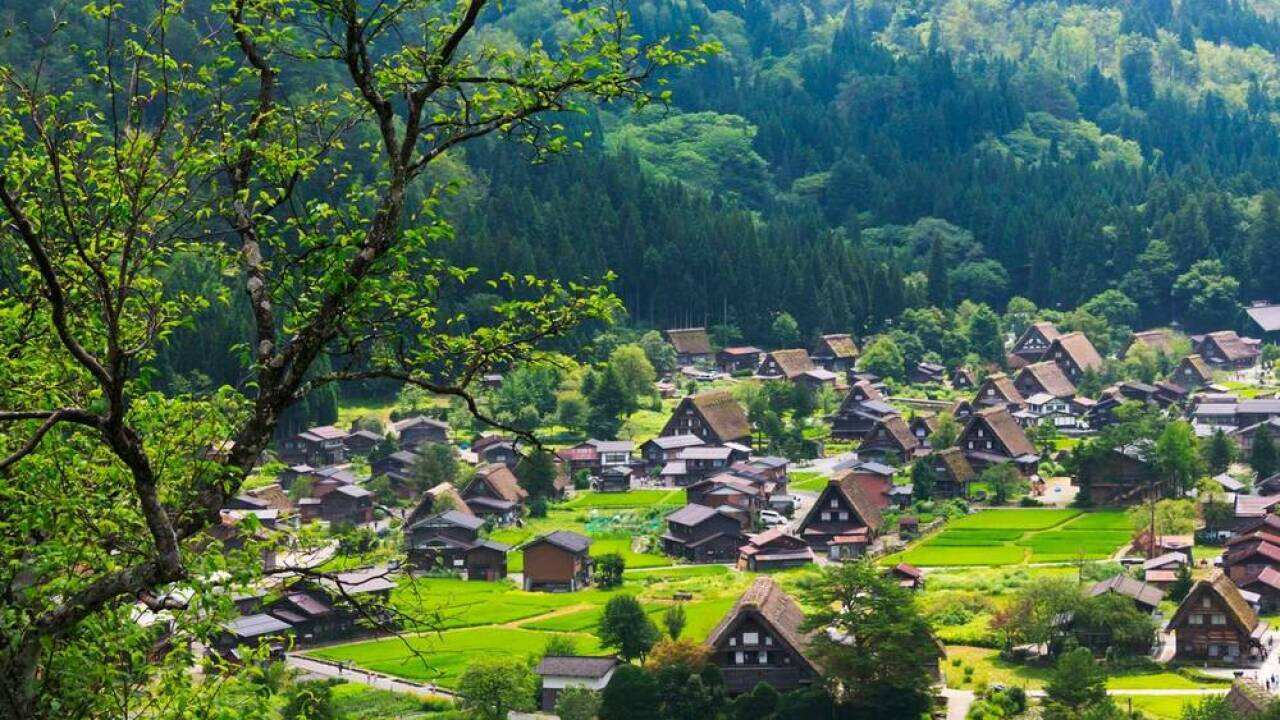 Gassho-zukuri houses and farmland in mountain, Shirakawa-go, Gifu Prefecture, Japan