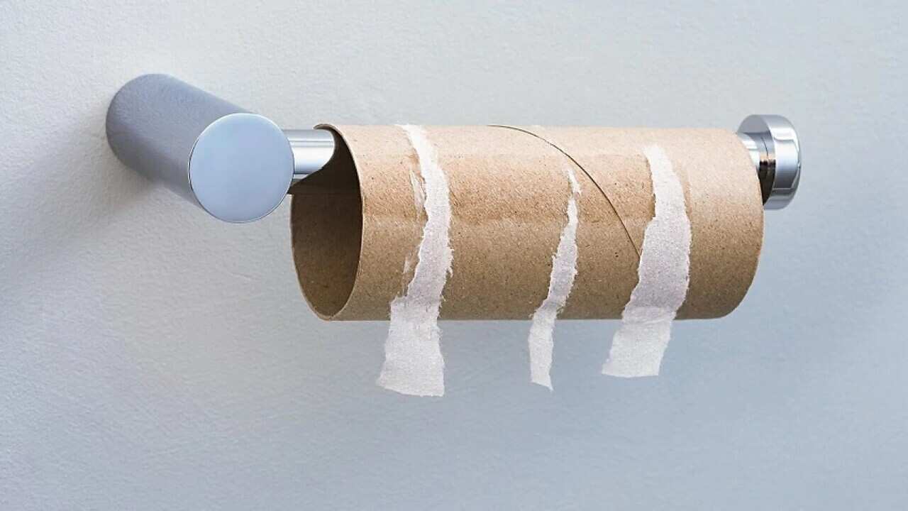 toilet paper 